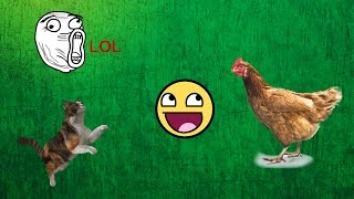 Comedy Football ● Funny Animals Pitch Invaders