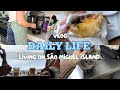 Vlog grocery haul running errands and making dinner and a cake living on so miguel island azores