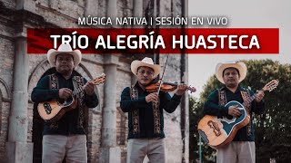 ASÍ SE TOCA EL HUASTECO EN ZOZOCOLCO | SESIÓN EN VIVO DE MÚSICA NATIVA