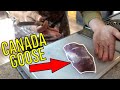 Do THIS before you cook WILD GOOSE