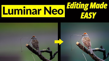 Luminar Neo. Editing made EASY