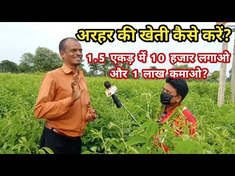 वीडियो: जुलाई उद्यान कार्य - दक्षिण पूर्व के लिए बागवानी कार्य सूची