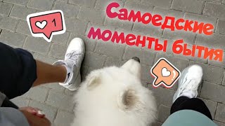 Самоедские моменты нашей жизни 🤗 июнь