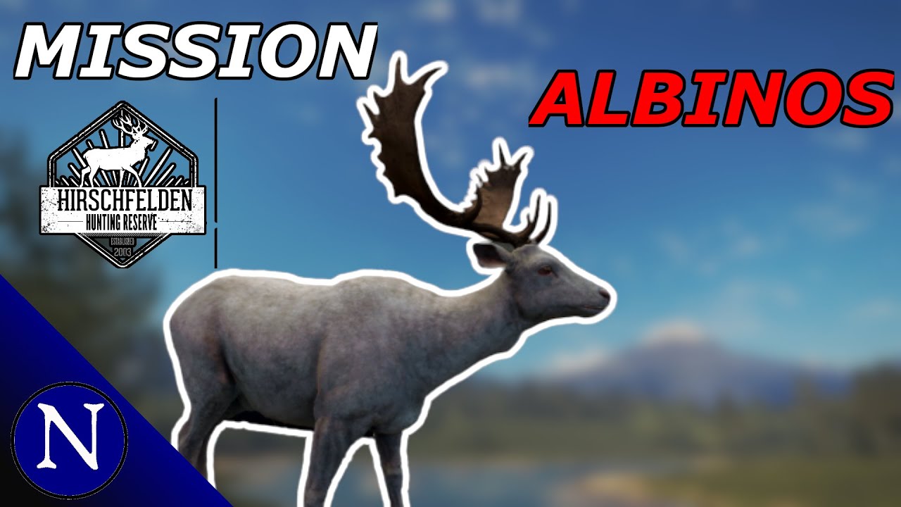 The Hunter COTW Mission Jäger 10 Daim ALBINOS a Hirschfelden YouTube