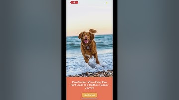 CS5520 Final Project - Paw Tracker