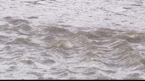 Officials give update on St. Louis flood relief