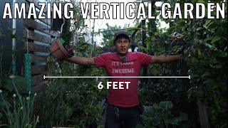 Girl Grows TONS of Food in 6 ft Wide Alley | Vertical Gardening