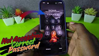 iPhone 17 Pro Max Not Accepting Correct Password Fix