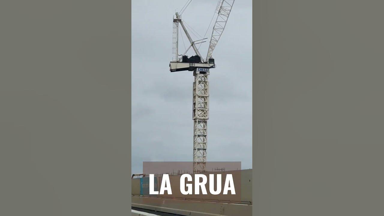 how-to-say-crane-in-spanish-shorts-spanish-spanishvocabulary