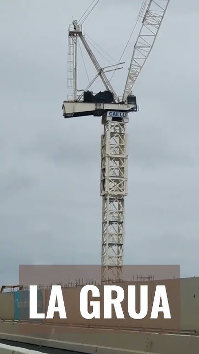 how-to-say-crane-in-spanish-shorts-spanish-spanishvocabulary