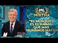 ¿MITO O VERDAD? El Dr. López Rosetti se refirió al dengue y los repelentes caseros