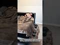 When she/he steals the blanket #funny #fpy #couple #couplelife