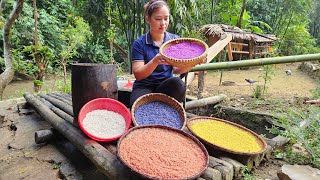 Harvest Upland Rice To Make 5 Color Cakes - Five-Coloured sticky rice