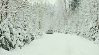 Amazing Drive Through the Pine Forest, Virtual Drive in Snow Covered Forest, Relaxing Music