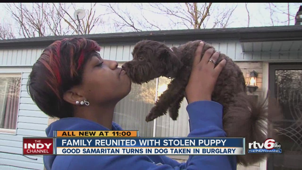 Family reunited with stolen puppy - YouTube