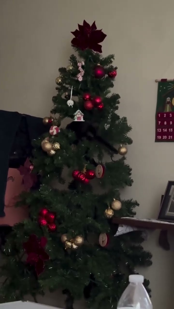 Oupsss..le travail est fait avant Noël ????