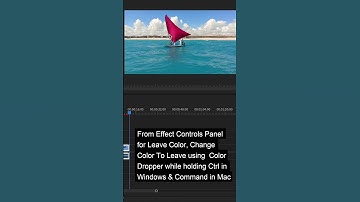 How to Create Color Isolation Effect | Adobe Premiere Pro Tutorial | Youtube Shorts