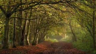 Kate Bush - Oh England My Lionheart