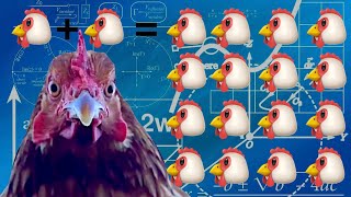 Chicken Math - Parody of Maniac from Flashdance by Shirley Șerban 7,464 views 1 month ago 3 minutes, 59 seconds