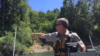 The Deadly Root Ball In The Willamette River