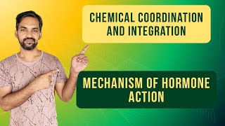 Chemical coordination and integration | Mechanism of Hormone Action