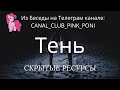 Ресурс Тени  (нарезка встречи в Телеграм канале)