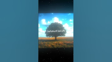 القارئ/محمد اللحيدان/سورة الاحزاب/39_40/🥀🖤