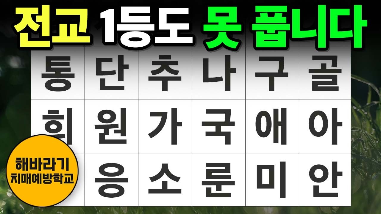 【치매 예방】전교 1등도 못 풉니다┃숨은단어찾기,치매예방,치매테스트,단어퀴즈,낱말퀴즈