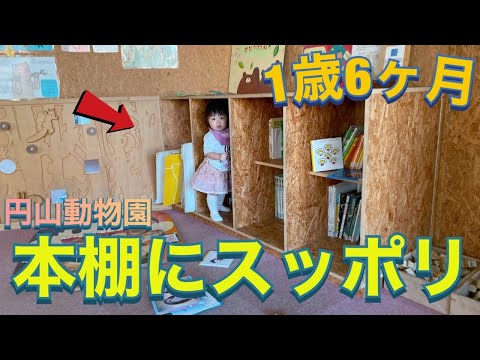 1歳6ヶ月 本棚の中の雫ちゃん