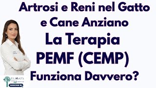 Download Lagu PEMF per Cani e Gatti: Insufficienza Renale, Artrosi, Osteoartrite e Neuropatie (Guida Completa) MP3