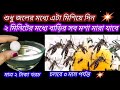 🔥মাত্র দু মিনিটেই মশা মারা যাবে ঘরোয়া এই টোটকায়🔥Mosquito killer//kitchen tips