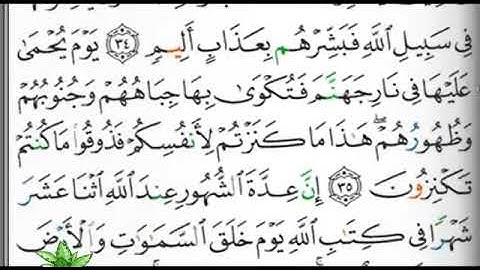 مصحف التجويد صفحة 192 ابراهيم الأخضر 🕋