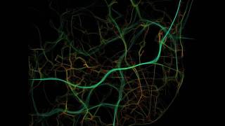 Lisbon's traffic speed and intensity