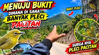Jalur Pacitan Wonokarto Tulakkan #pacitan1001goa #pacitan #vlog 