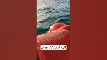 قرآن كريم للاطفال بصوت جميل يريح القلب وتنسيك اللهم ❤️😭 #تريند_يتيوب #المصحف محمد الفقيه