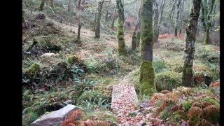 RUTA DO BATÁN DE FOLGOSO (XERMADE) LUGO 2015