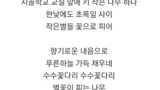 수수꽃다리(반주만)