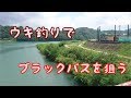 ブラックバスをエサで狙ってみた!初ゲットなるか?