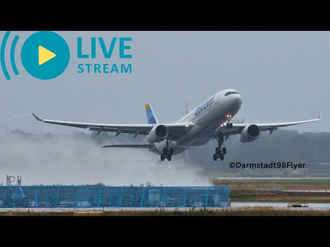 🛬 Planespotting Frankfurt Live | Frankfurt Airport Live #d98flyer #frankfurtairport #runway