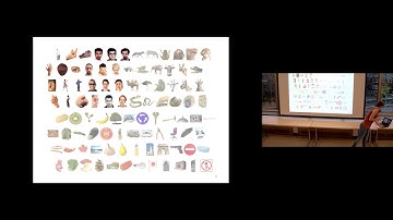 Modelling representational transformations in the human ventral visual system - Marieke Mur