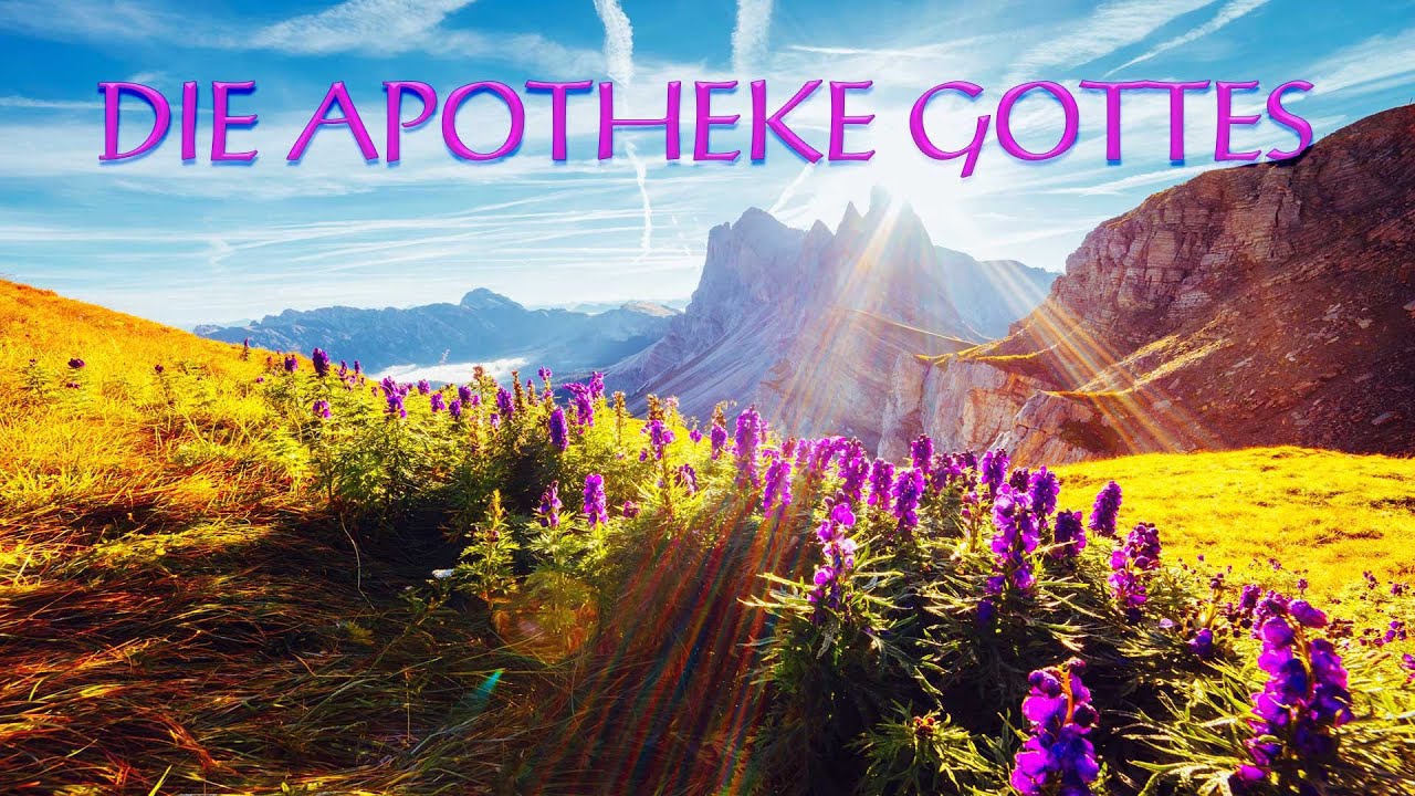 TAG DER ERDE 2022 - DIE APOTHEKE GOTTES