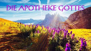 TAG DER ERDE 2022 - DIE APOTHEKE GOTTES