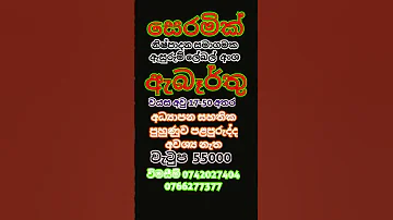 Best Jobs Job Vacancies Abarthu Rakiya ර ක ය ඇබ ර ත 2025 New Job Vaceancies 