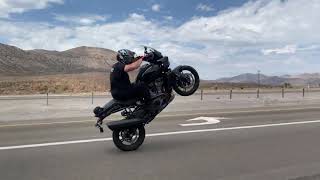 Harley Pan America Wheelie 100+ MPH!