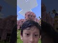 COUNT DA CHICKEN! #find #chicken #challenge