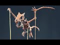 【ポケモン】プテラの化石標本作ってみた【フィギュア】工作 | Aerodactyl Fossil - Pokemon