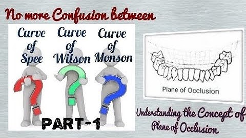 Plane of Occlusion (Part-1)//Curve of Spee//Compensating Curves