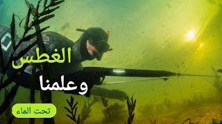 متعه صيد الأسماك تحت الماء غطس حر في بحر افريقيا