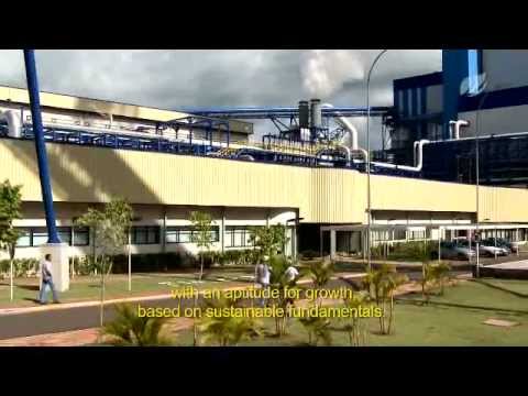 Vídeo Institucional Fibria (English)