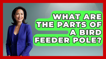 What Are The Parts Of A Bird Feeder Pole? - Bird Watching Diaries